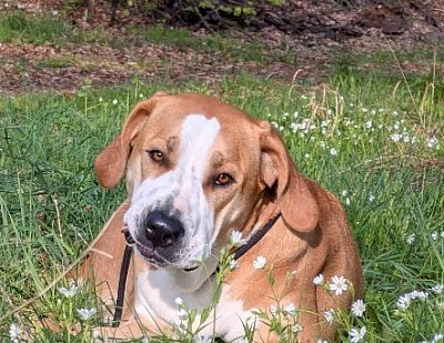 Wir freuen uns auf das bevorstehende Jahr!