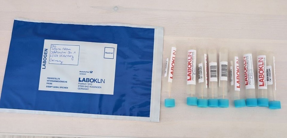 Unsere Welpen werden von Laboklin auf Erbkrankheiten untersucht.