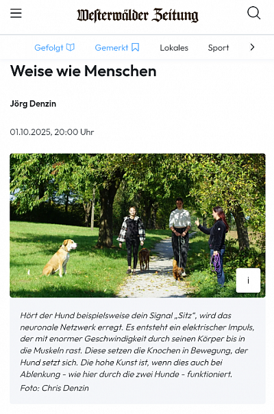 Ally und Bolle sind in der Zeitung